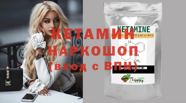 сатива Беломорск