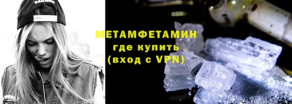сатива Беломорск