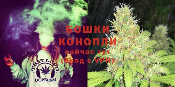 сатива Беломорск
