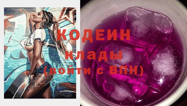 сатива Беломорск
