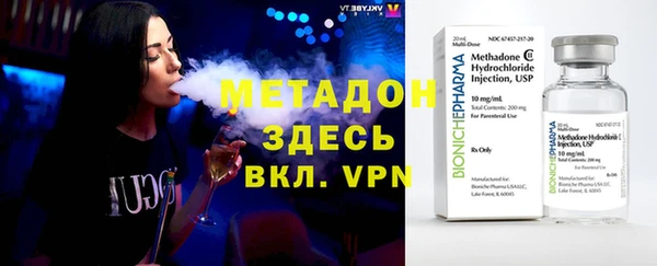 сатива Беломорск
