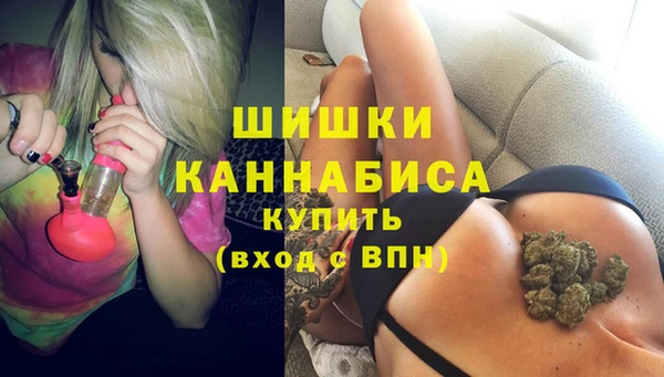 сатива Беломорск